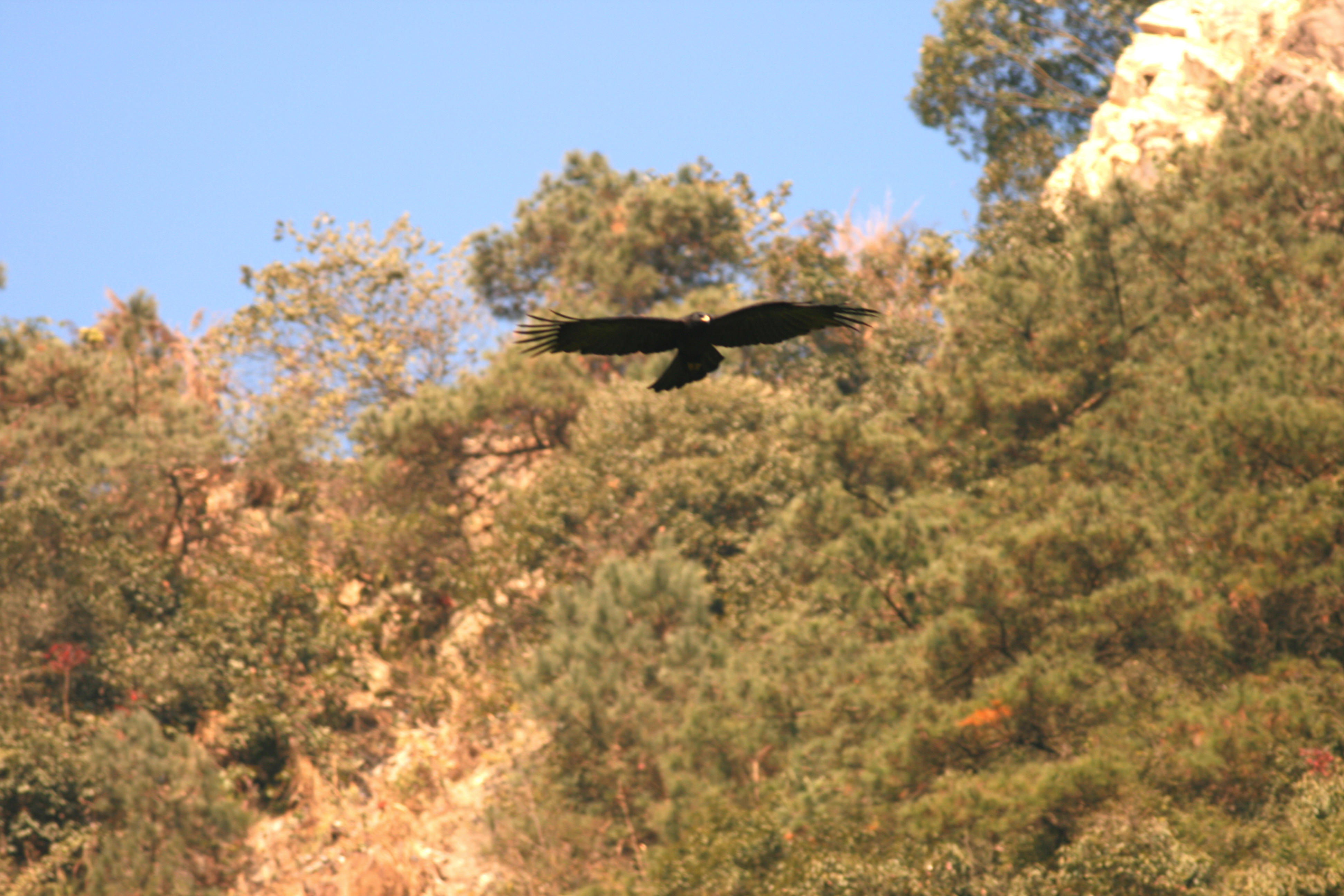 IMG_1687.jpg