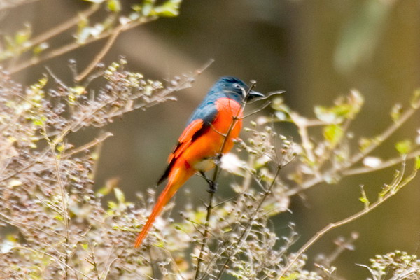DSC_9782_С.jpg