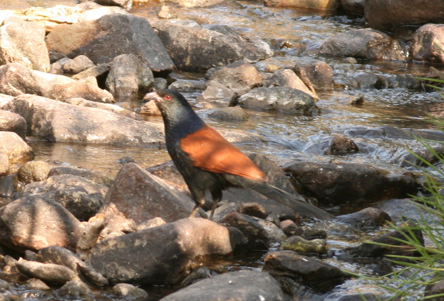 IMG_2859.jpg