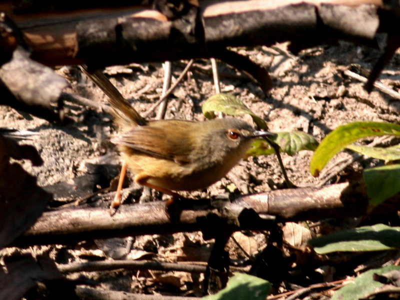 c3024.jpg