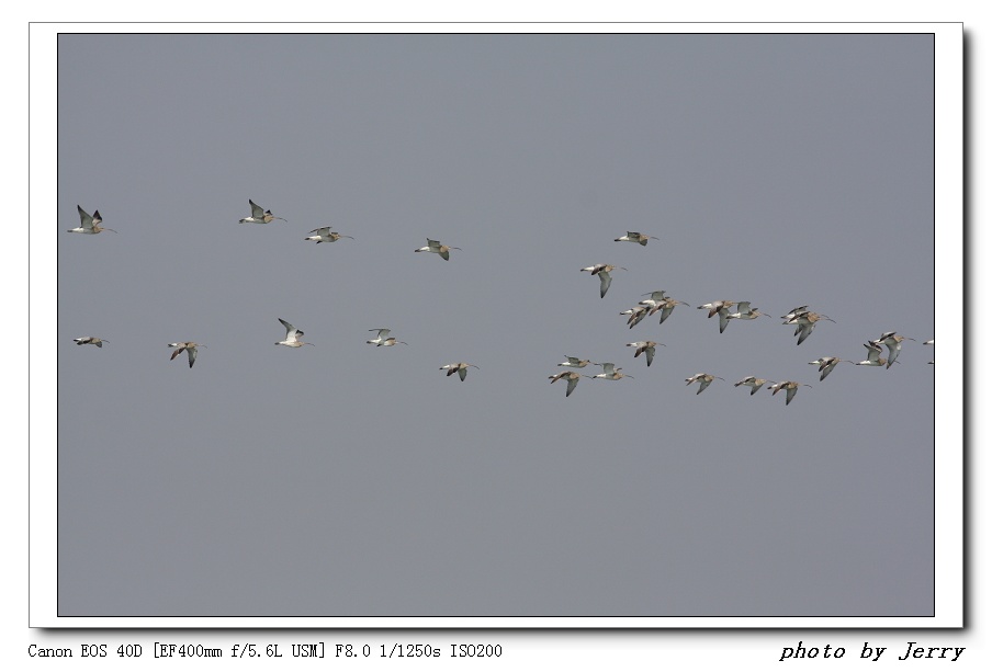 IMG_9585.jpg