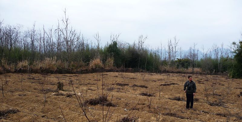 �ڶ����ּ�յ�