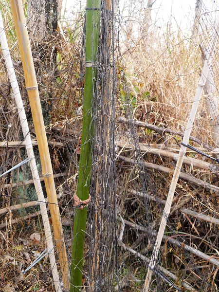 ����ܵ������������㣡