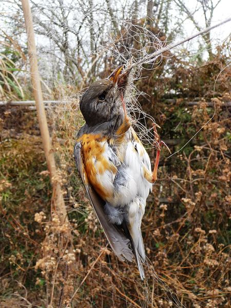 ��ֻ��һ���������ˣ��κ������Ѿ�