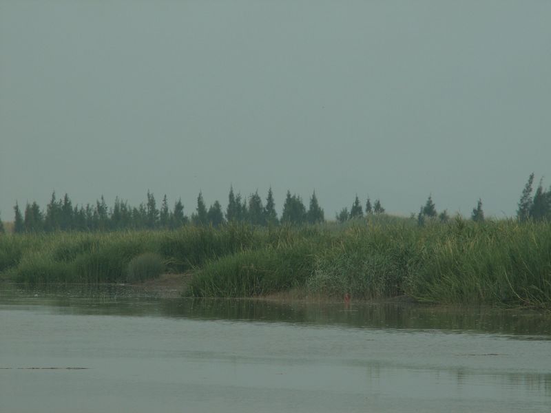 PICT2869.JPG