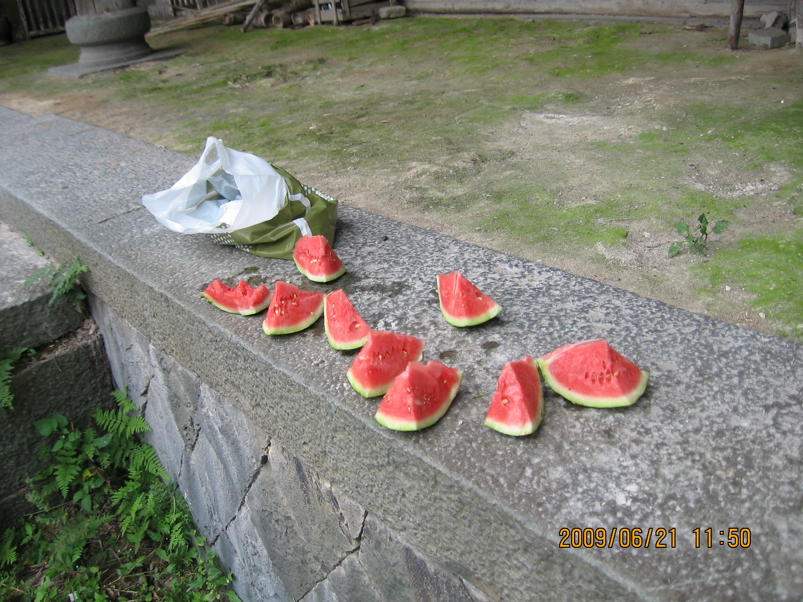 Ҷ 019.jpg