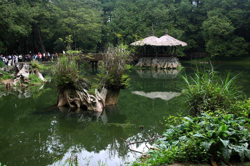DPP_4684.JPG