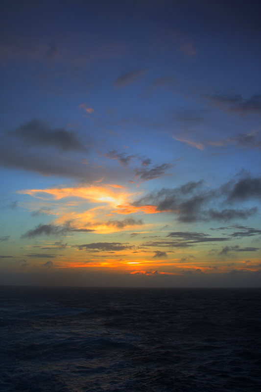 DPP_4474.JPG