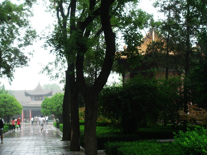 DSC05751.JPG
