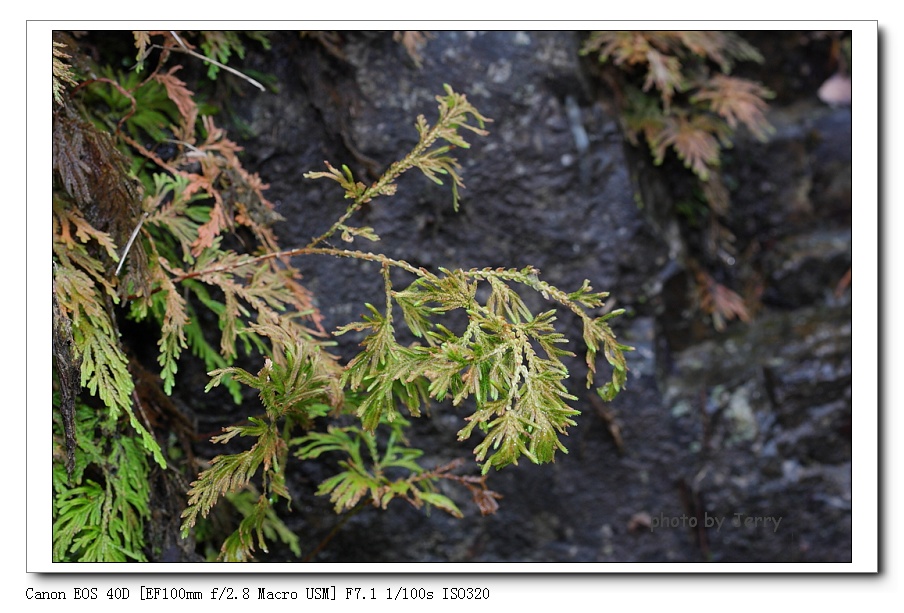 IMG_9670_nEO_IMG.jpg