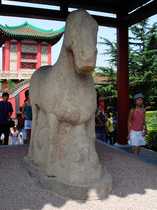 DSC05843.JPG