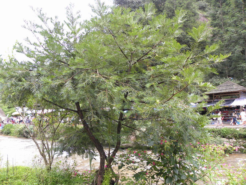 ˮ 074a.jpg
