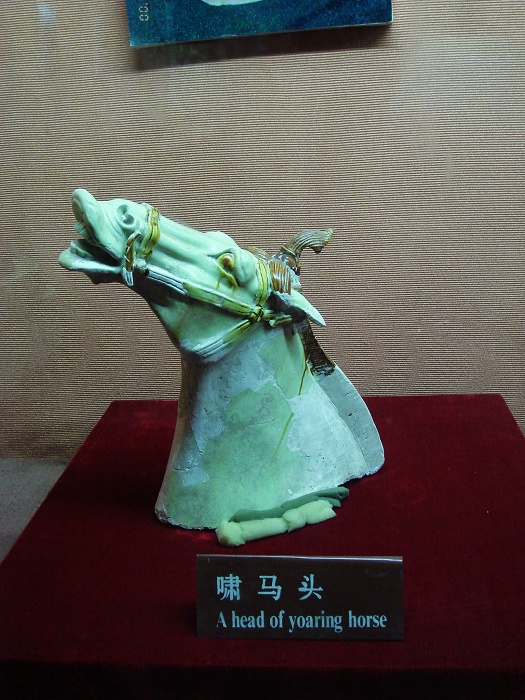 DSC05950.JPG
