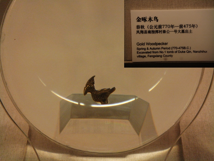DSC06210.JPG