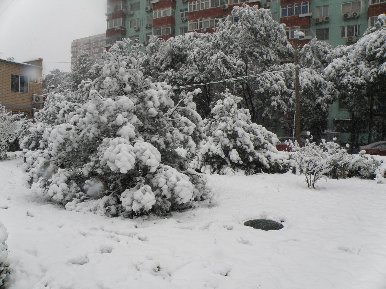 PB012998.JPG