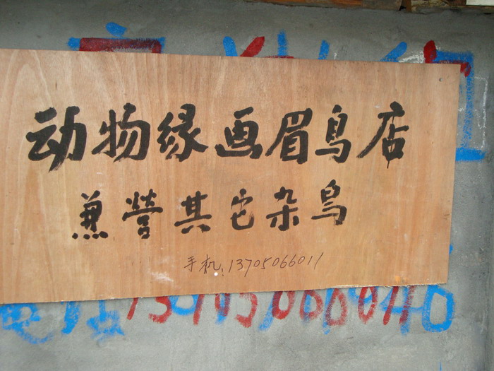 DSC01794.JPG
