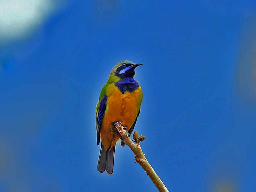 DPP_0261-2.jpg