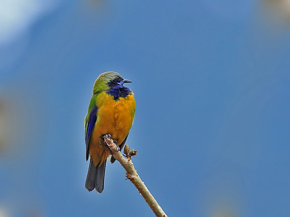 DPP_0263-1.jpg