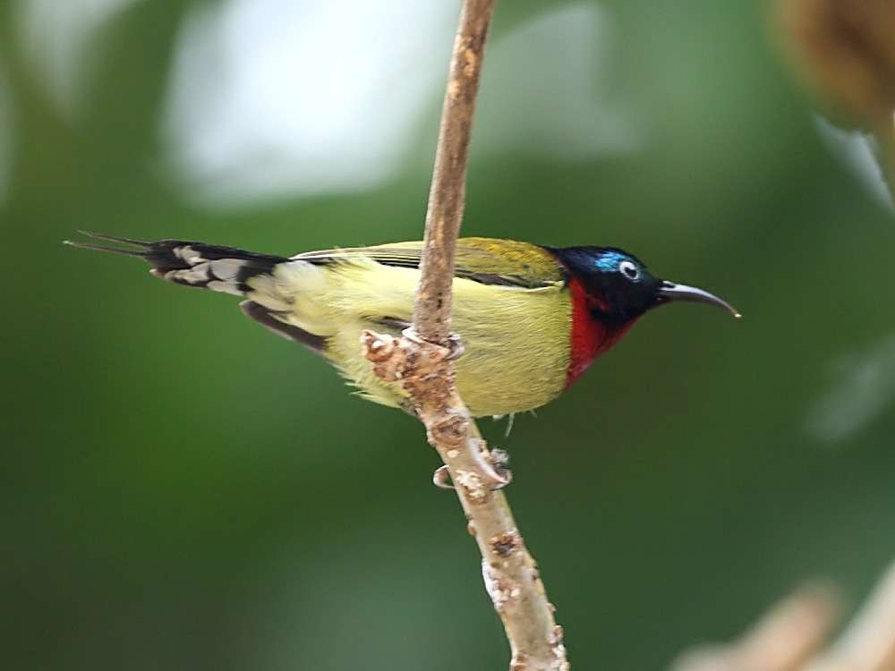DPP_0281_2.jpg