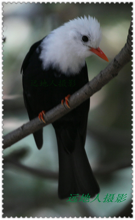 IMG_7644.JPG