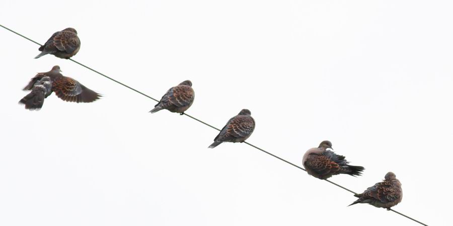 ������С d0123 127.jpg