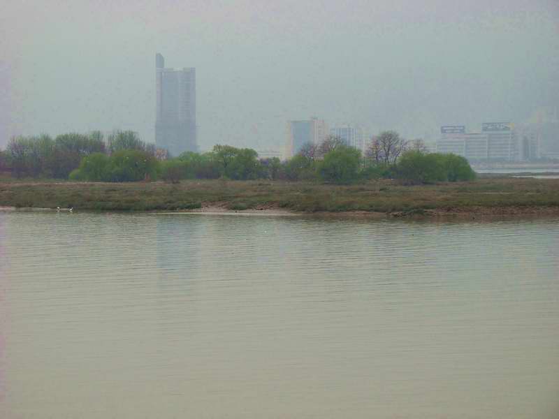 DSC05573.jpg