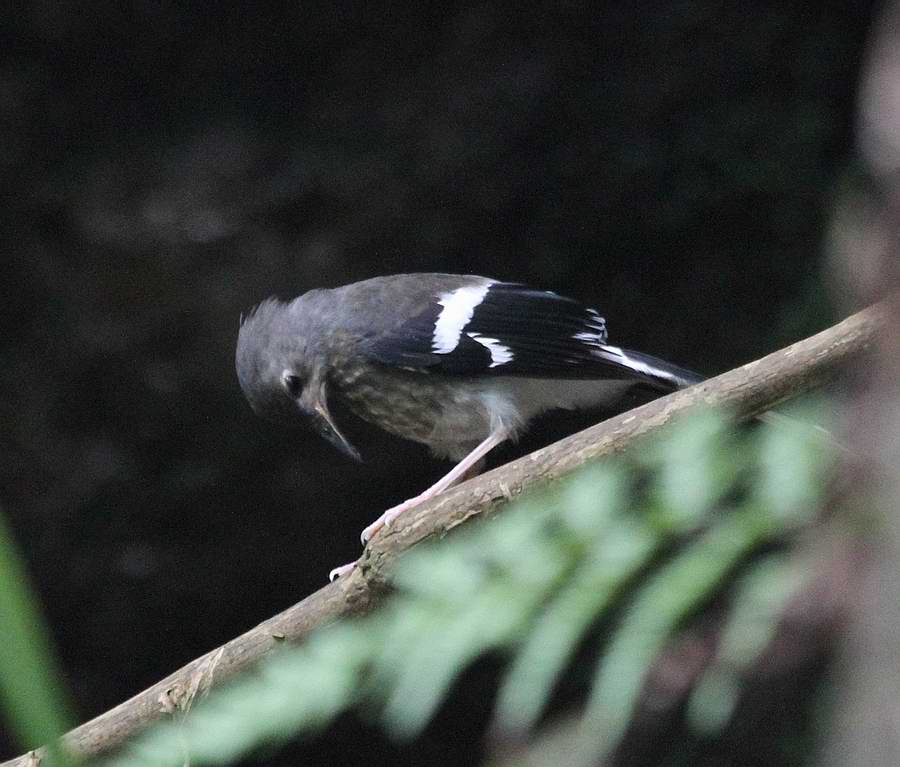 IMG_7722.jpg