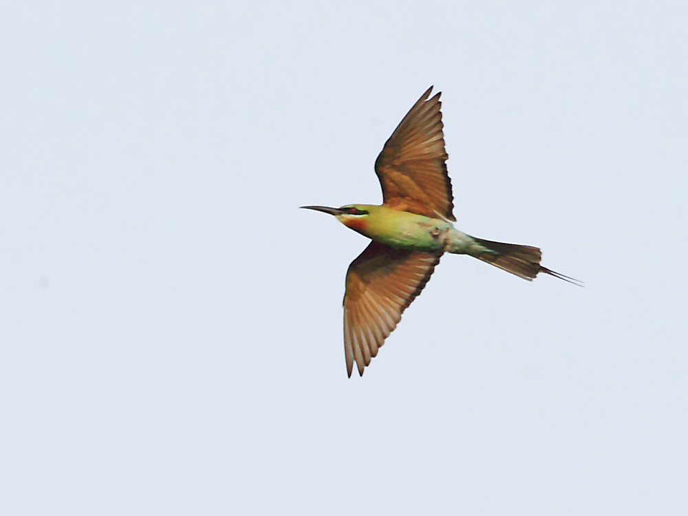 DPP_3076-1.jpg