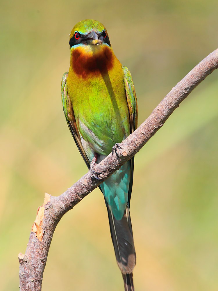 DPP_3016-1.jpg