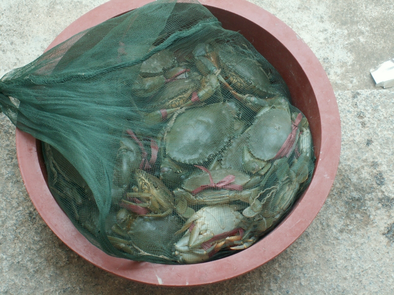 PICT2154.JPG
