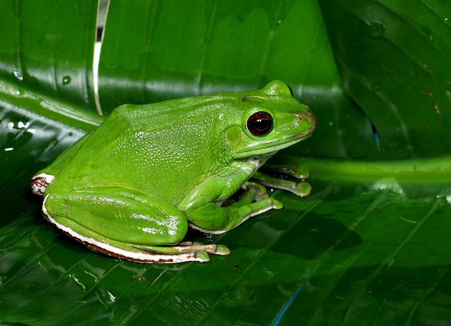 Ƭ 088.jpg