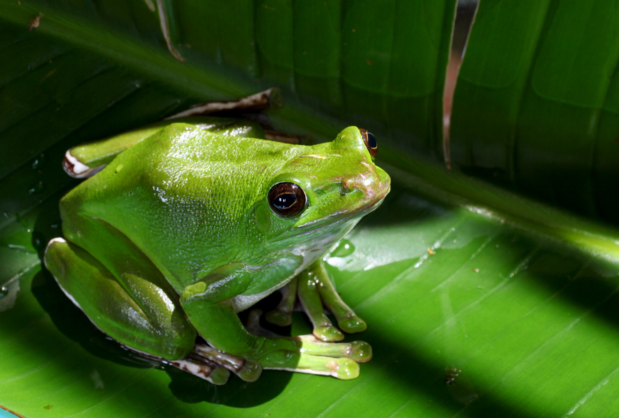 Ƭ 068.jpg