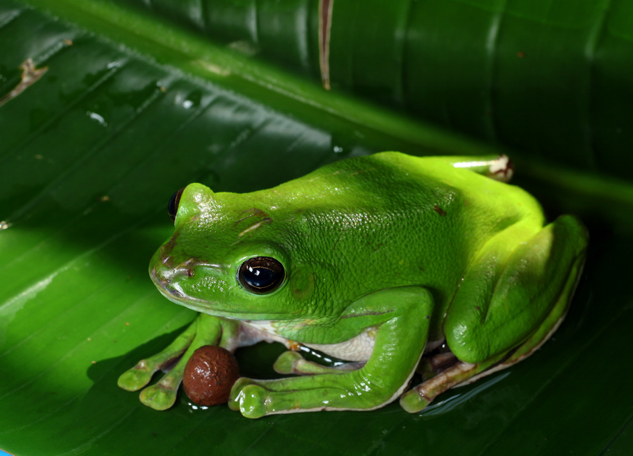 Ƭ 079.jpg