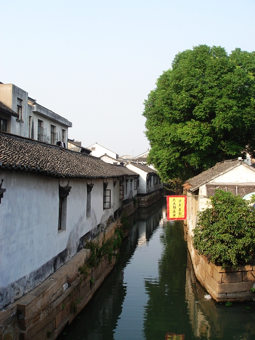 DSC07941.JPG