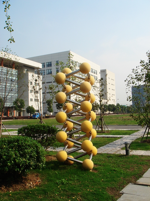 DSC07822.JPG