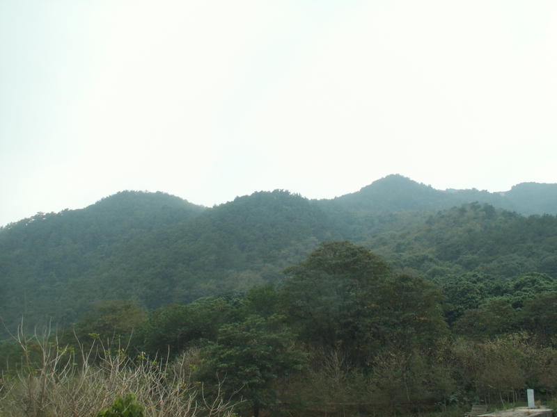 PICT2913.JPG