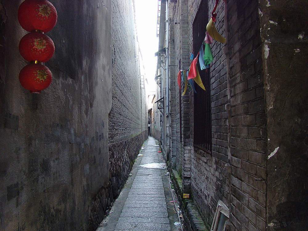 DSC06204.jpg