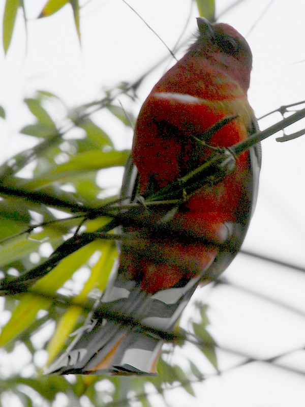 2011_01_14_0070.jpg