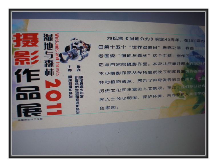 P1010066.ajpg.jpg