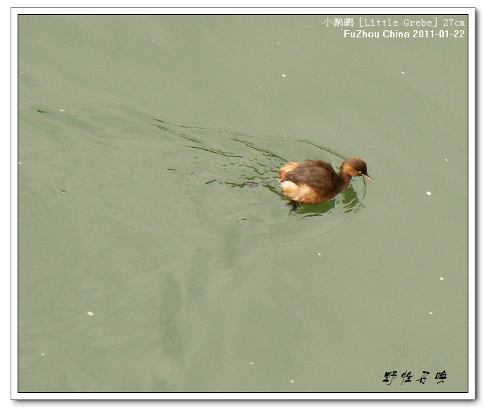 DSC06307.jpg