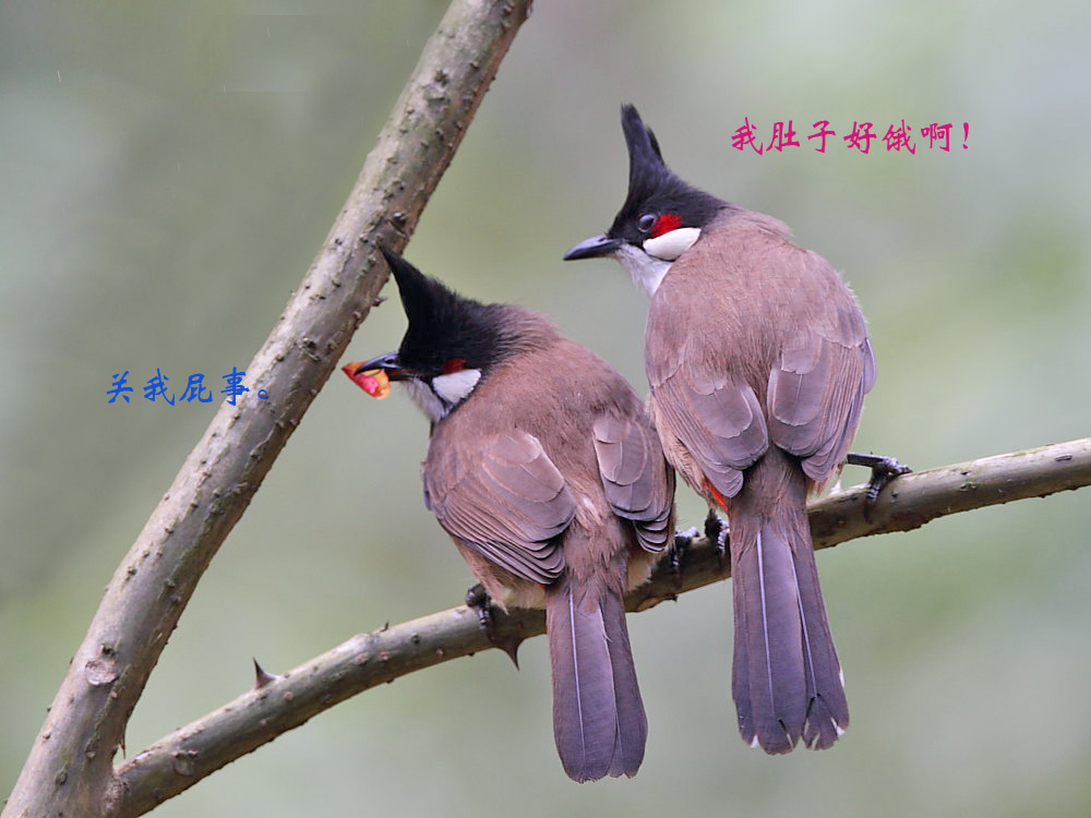DPP_03371.jpg