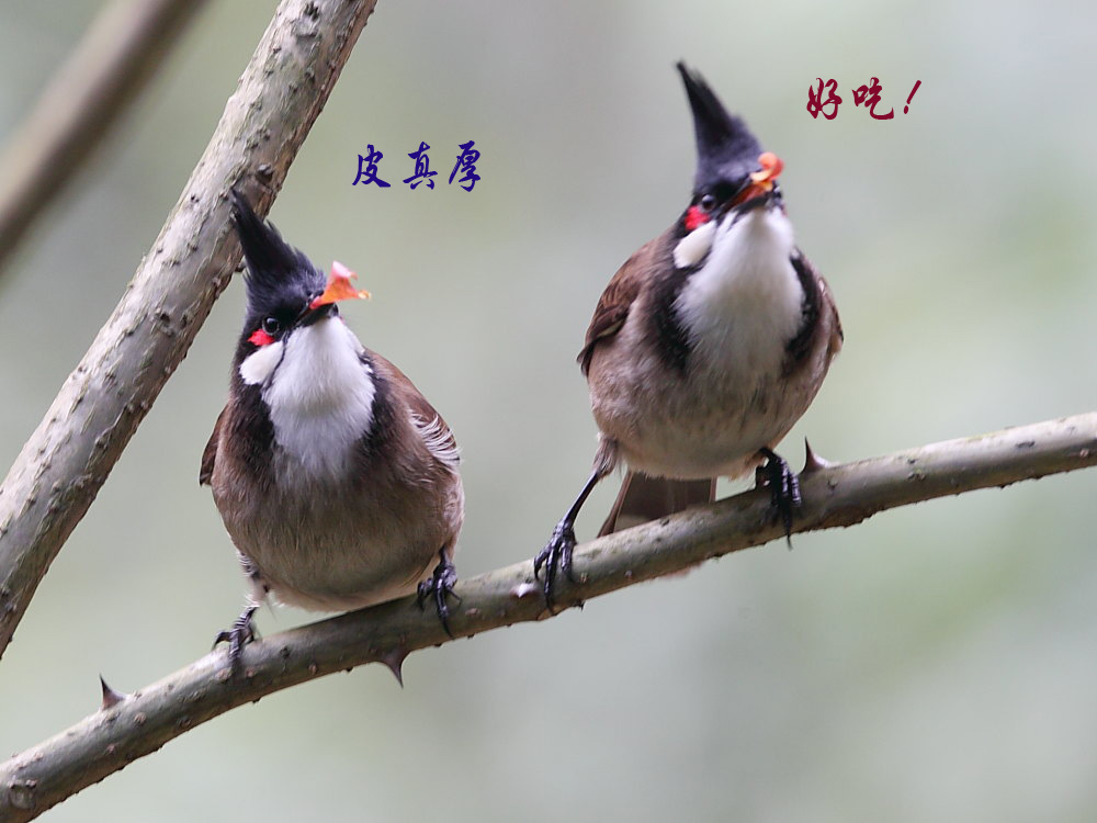 DPP_02851.jpg