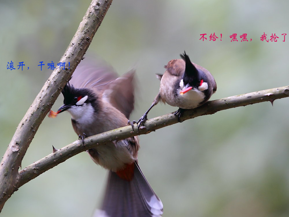 DPP_02831.jpg