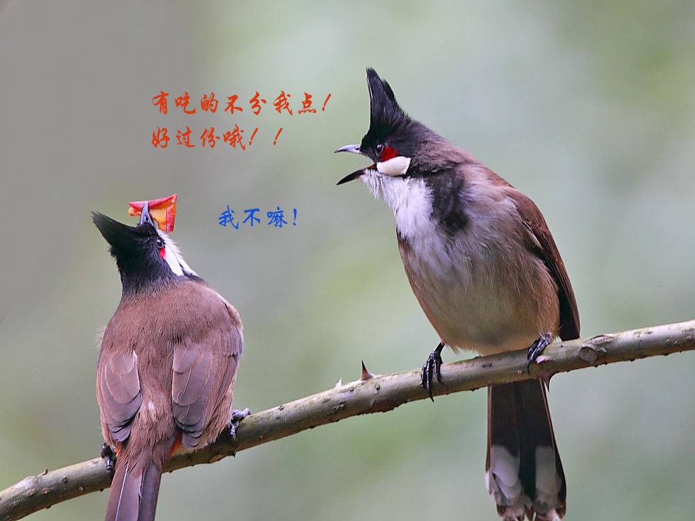 DPP_03363.jpg