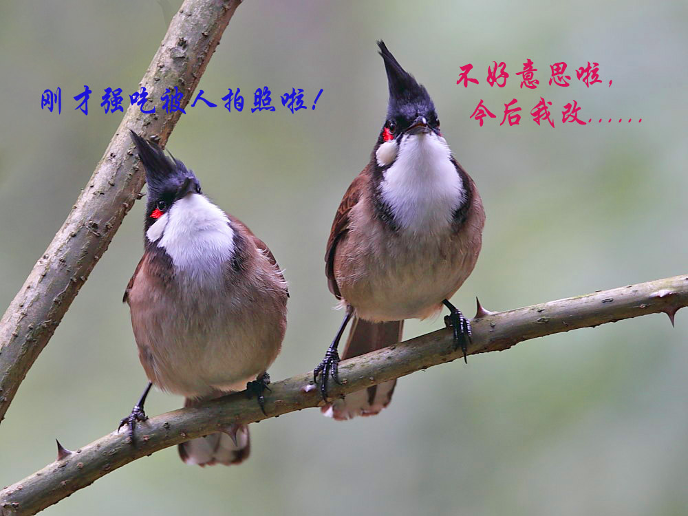 DPP_0287-1.jpg