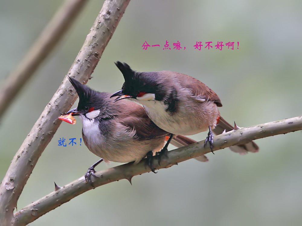 DPP_02823.jpg