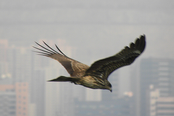DSCN0203.jpg