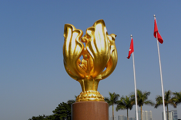 DSCN0208.jpg