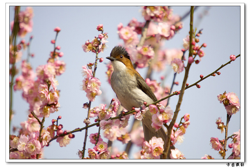 2011.02.08_42.JPG