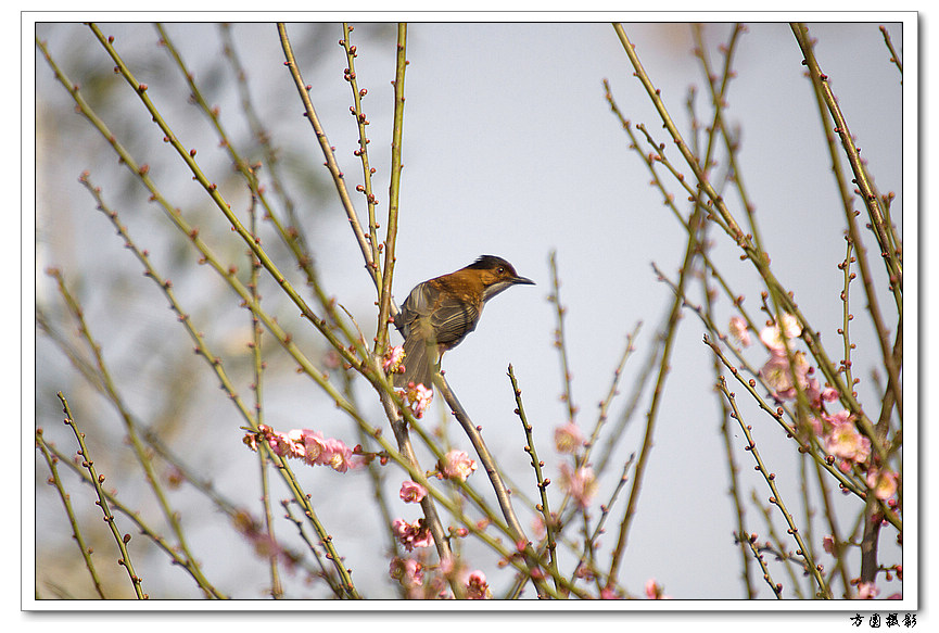 2011.02.08_51.JPG